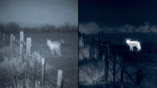 PVS-14 vs FLIR Breach: Which One Should You Buy in 2026?