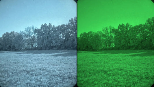 White Phosphor vs Green Phosphor: Which Is Better in 2026?