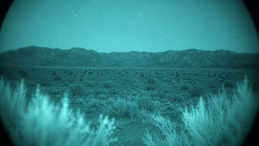 Dual Tube Night Vision Under $4,000: PVS-31 PRO Tiers Explained (2026)