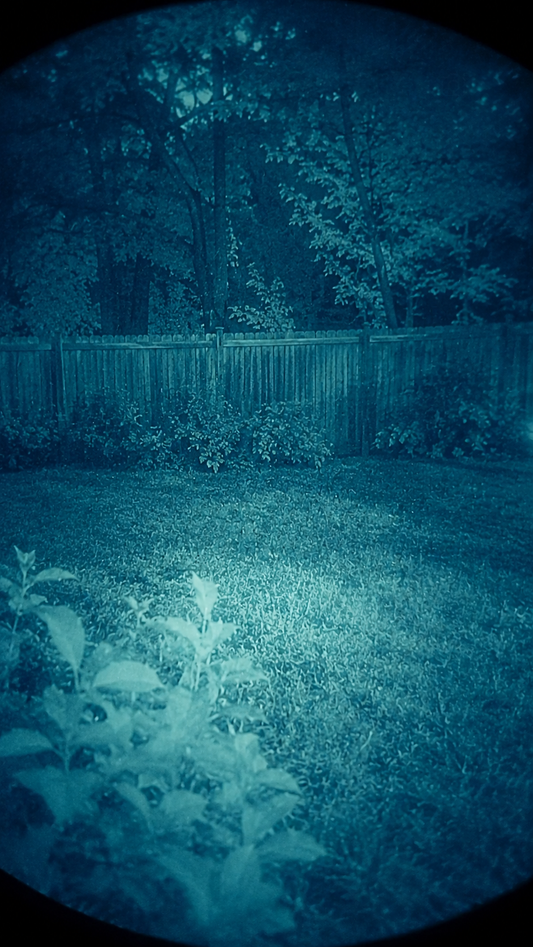 Your First Night with Night Vision: A Field Walkthrough (2026)