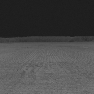 PREDATOR range simulation, 4mm lens, deer at 150 m, 1.0x, rendered at the true 320 x 320 display resolution